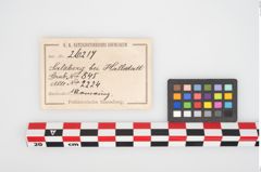 Etikett zu Bronzearmreif (NHMW-PRAE-026217)